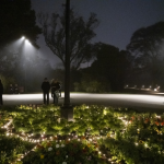 Acondicionamiento lumínico y eléctrico del Jardín Botánico.