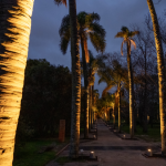 Acondicionamiento lumínico y eléctrico del Jardín Botánico.