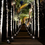 Acondicionamiento lumínico y eléctrico del Jardín Botánico.