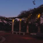 Alumbrado Público en Parque Prado